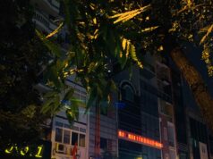 Ký Con(キーコン)通り周辺の韓国カラオケ密集エリア|ホーチミン1区ガイド 韓国ビジネスクラブ(business club)Ký Con通り