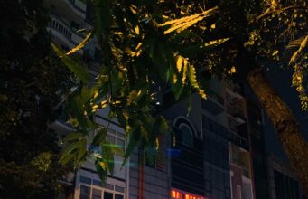 韓国ビジネスクラブ(business club)はKý Con通り周辺に密集して営業している 韓国ビジネスクラブ(business club)Ký Con通り