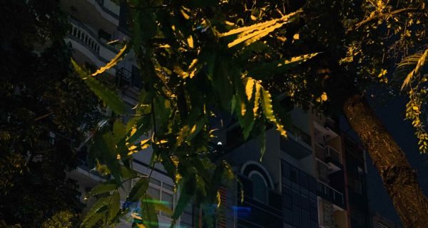 韓国ビジネスクラブ（business club）Ký Con通り