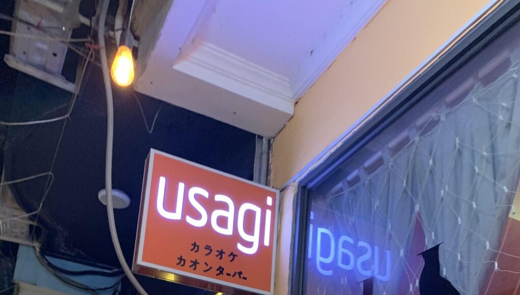 Usagi