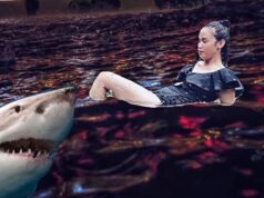 Hồ Hoàn Kiếm(ホアンキエム湖)ハノイ豪雨で水没した日|写真記録